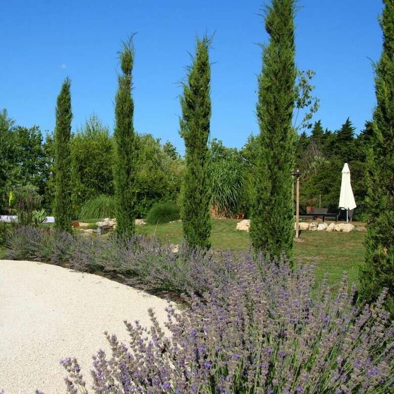 Bed & Breakfast Chambre D'h�tes Couleur Lavande