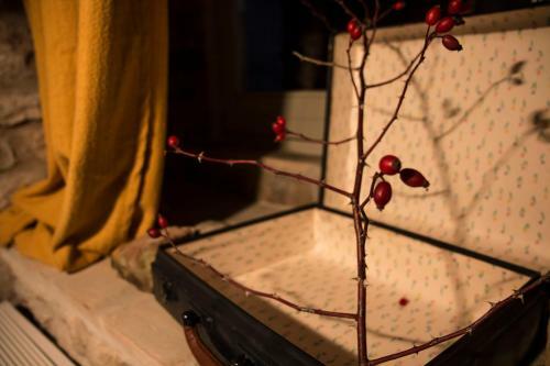 Bed & Breakfast Residenza La Corte Assisi