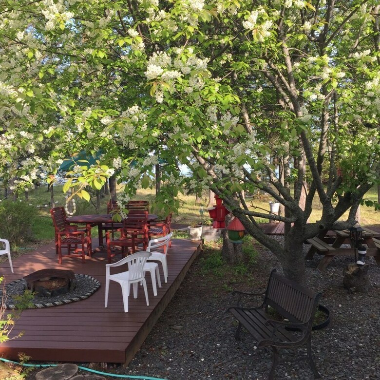 Bed & Breakfast Ocean Bluff B & B