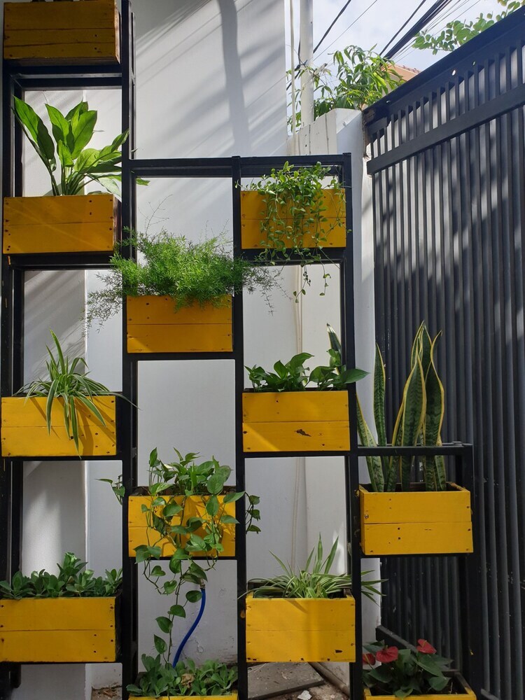 Aparthotel T P House 3