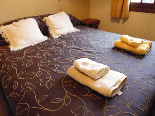 Lodge Galeazzi Basily Bed & Breakfast Y Caba�as Aves Del Sur