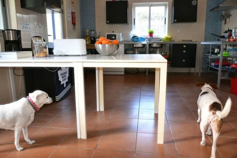 Hostal Aljezur Villas