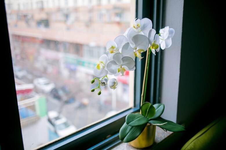 Posada Qingdao Yuexinxuan Inn