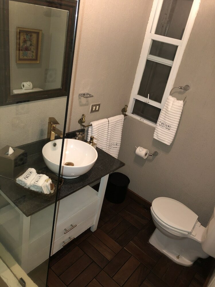 Bed & Breakfast Pug Seal Coyoacan