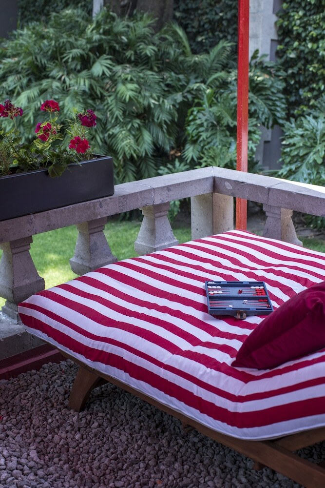 Bed & Breakfast Pug Seal Coyoacan