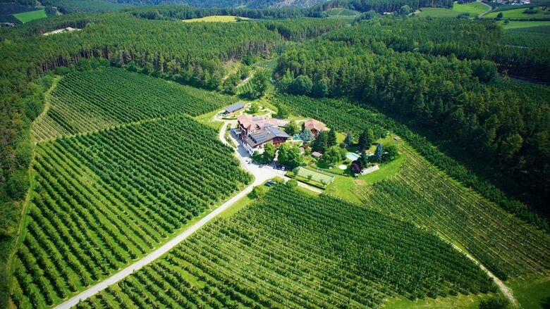 Hotel Fl�tscherhof