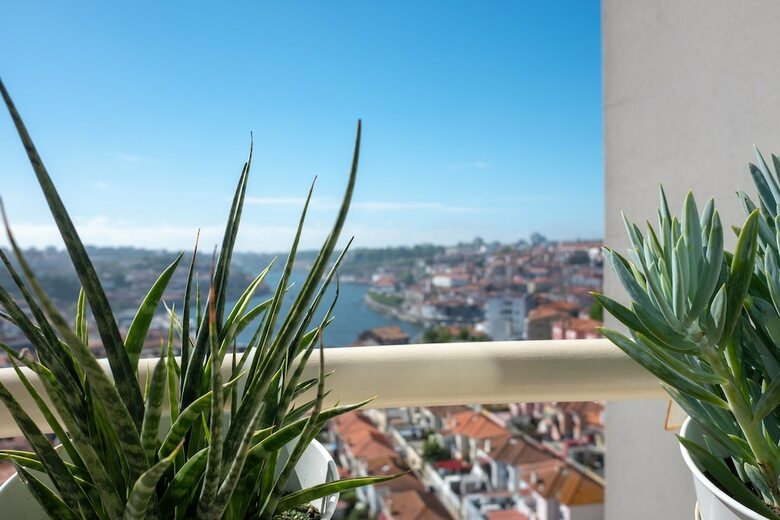 Apartamentos Porto Gaia River View By Mp