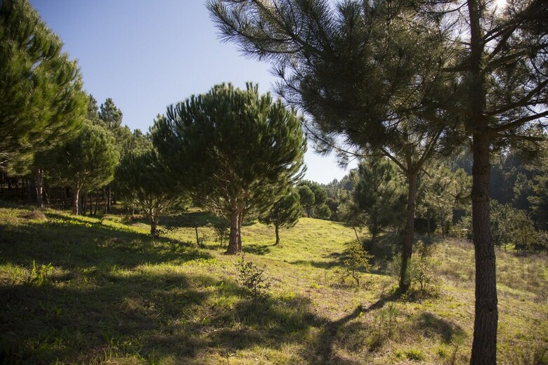 Agroturismo Quinta Camarena