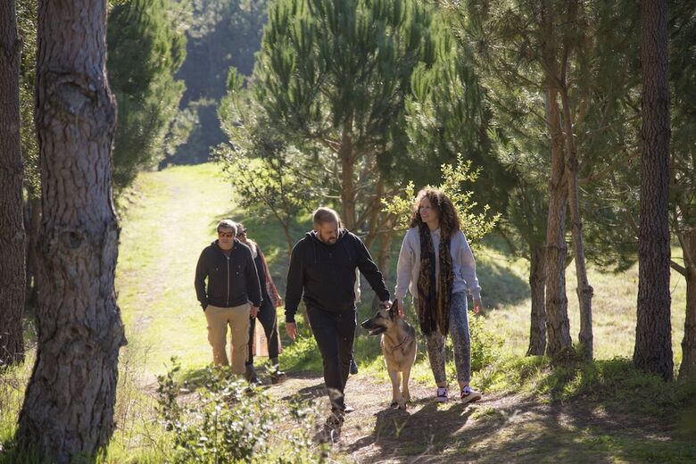 Agroturismo Quinta Camarena