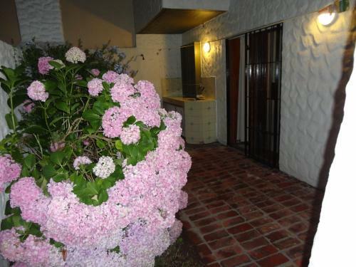 Apartamento Triplex N� 2 En San Bernardo