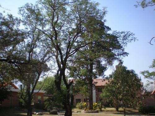 Paradiso Hotel