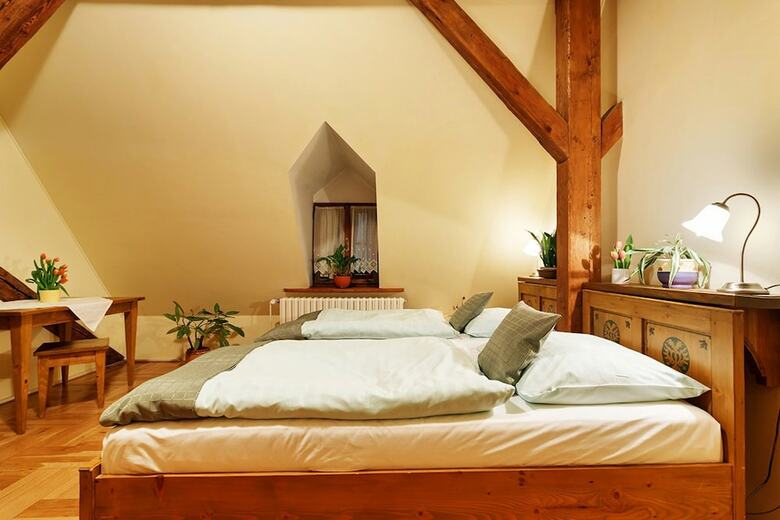 Bed & Breakfast Penzion U K?iv�ho Psa