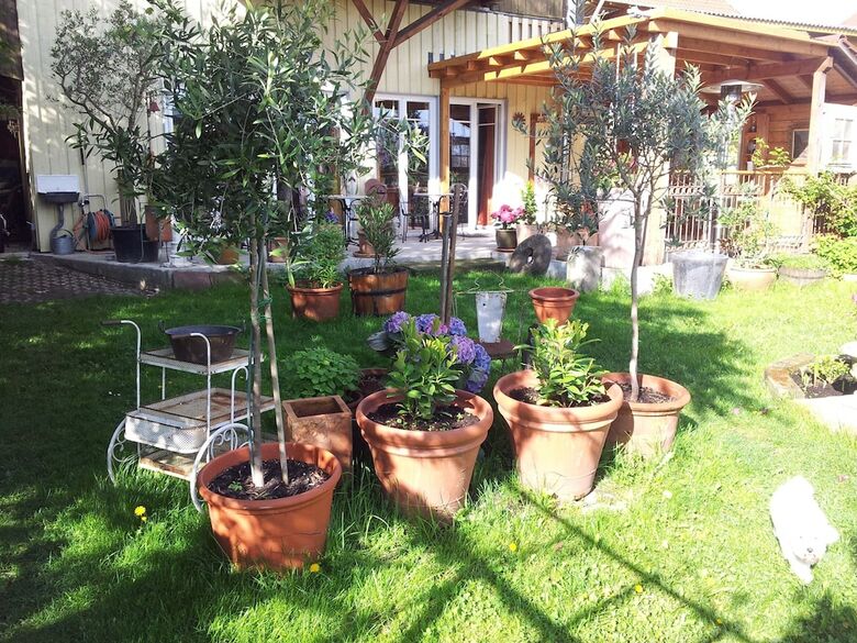 Landhotel Elfenhof