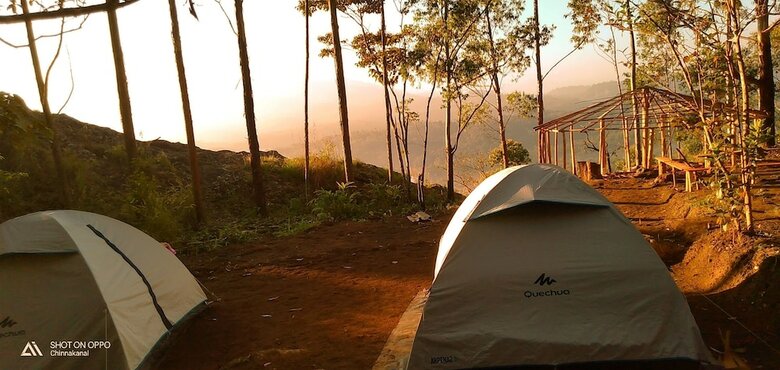 Bed & Breakfast Munnar Jungle Camp