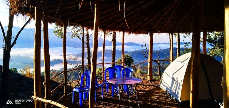 Bed & Breakfast Munnar Jungle Camp