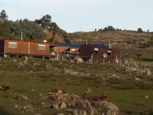 Lodge Caba�as Valle De Los Ciervos