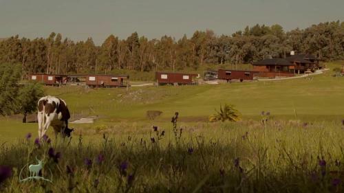 Lodge Caba�as Valle De Los Ciervos