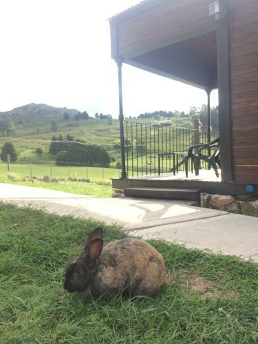 Lodge Caba�as Valle De Los Ciervos