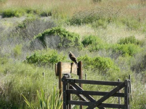 Lodge Caba�as Los Pioneros