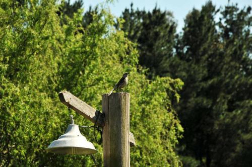 Lodge Caba�as Posada Del Tigre