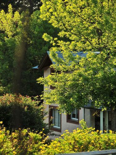 Lodge Caba�as Posada Del Tigre