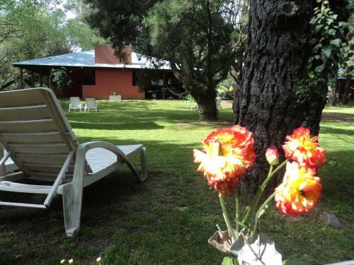 Lodge Caba�as Entre Omb�es Y Tilos