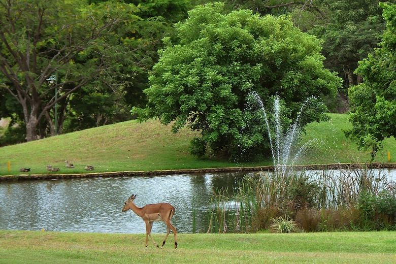 Posada Kruger Park Lodge Unit No. 509