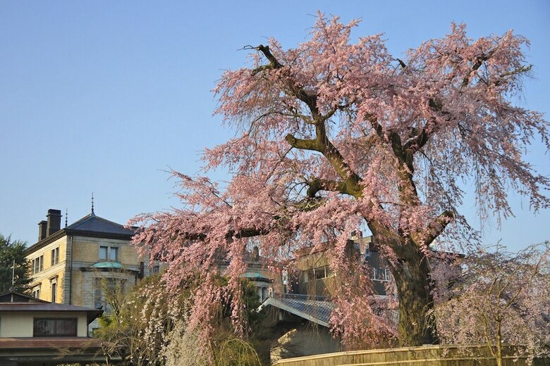 Hotel Kyoto Sawai
