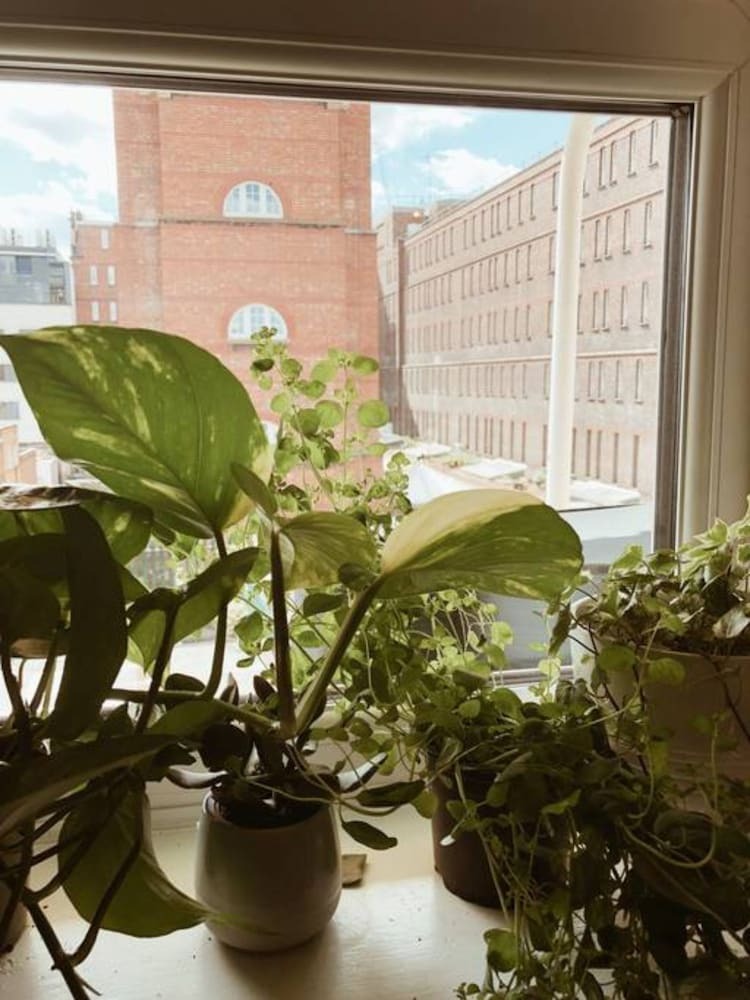 Apartamentos 2 Beds Studio With Loft In Camden
