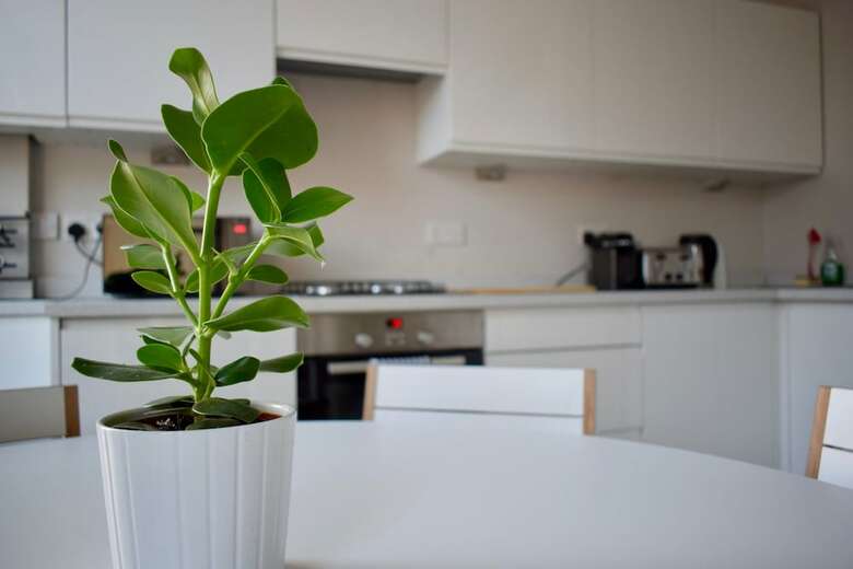 Apartamentos 1 Bedroom Flat In Lower Clapton