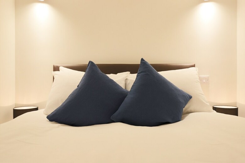 Modern 2 Bedroom Pimlico Apartment