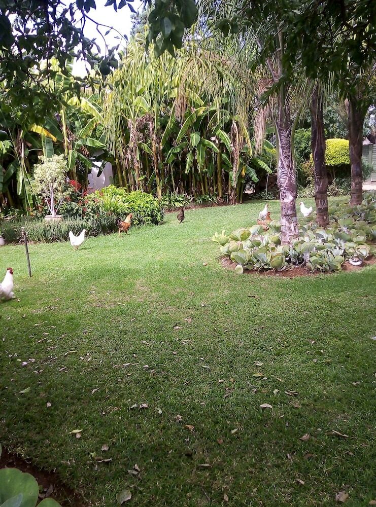 Posada Little Rose Leaf Lodge