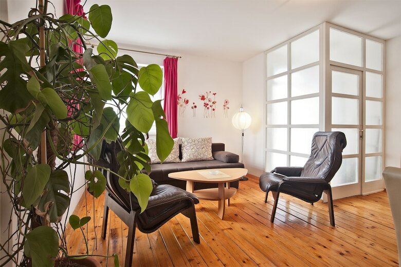 Apartments Vladimir