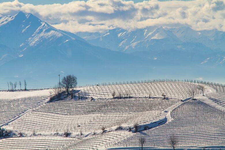 Hostal Agriostello Delle Langhe