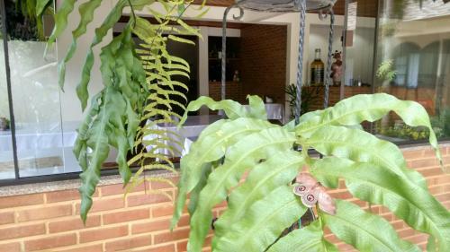 Hostal Pousada Recanto Das �guas