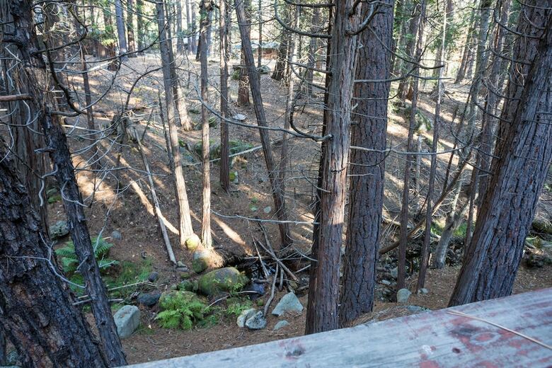 Pine Creek Cabin