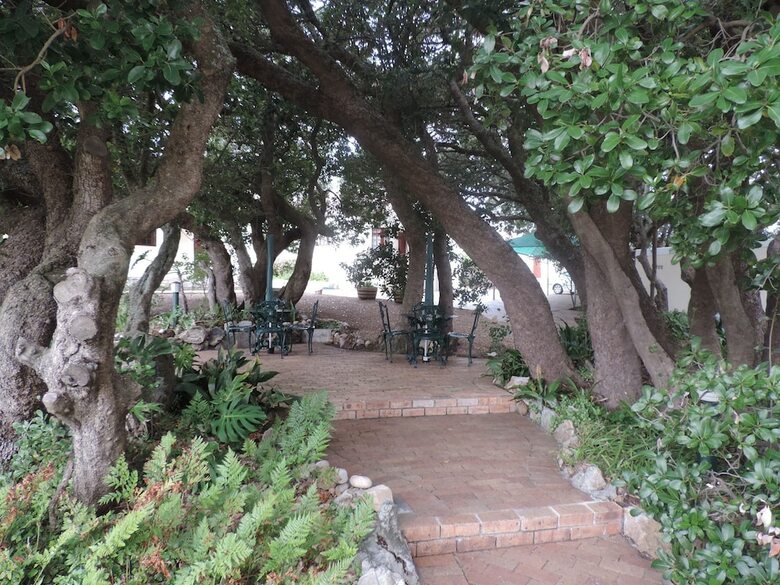 Bed & Breakfast Milkwood Lodge - Hermanus