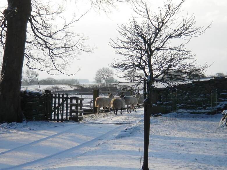 Bed & Breakfast Littlebank Country House