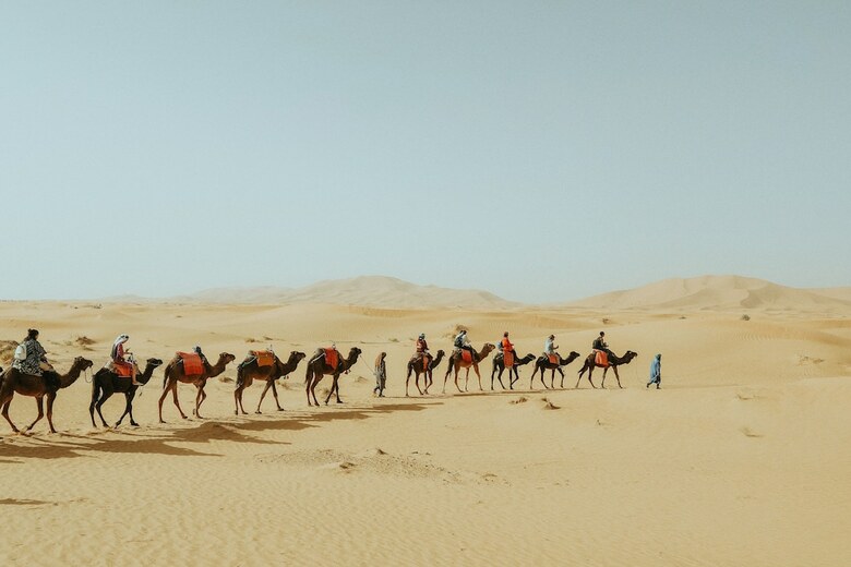 Sahara Royal Camp