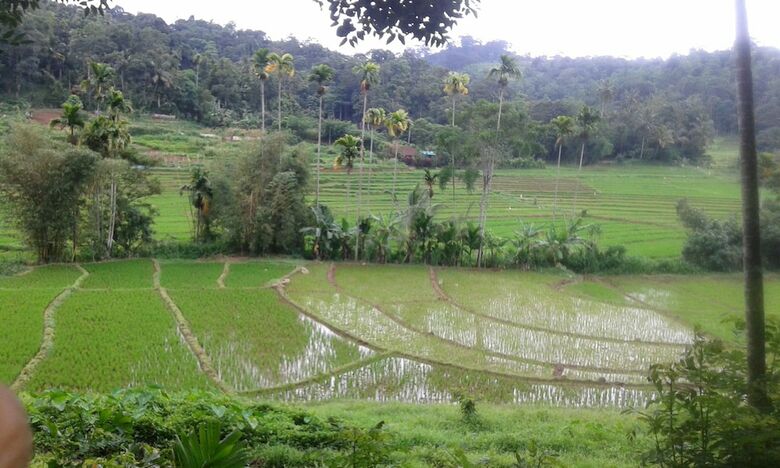Bed & Breakfast Kandy Village Glamping