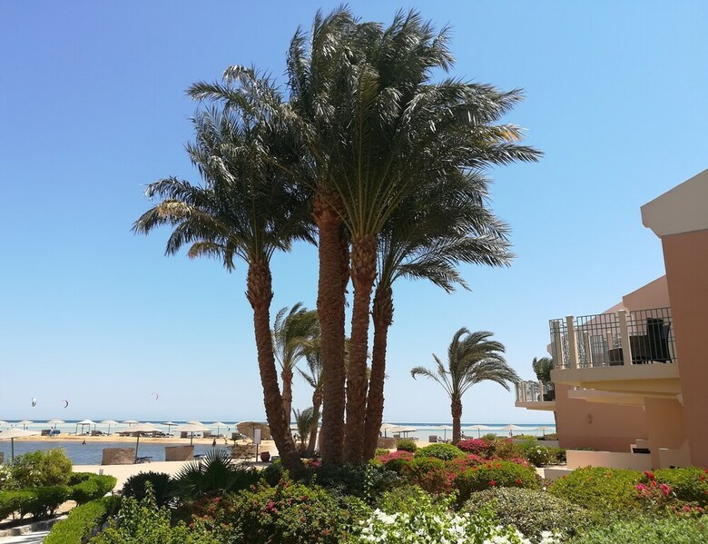 Hotel Movenpick Resort & Spa El Gouna
