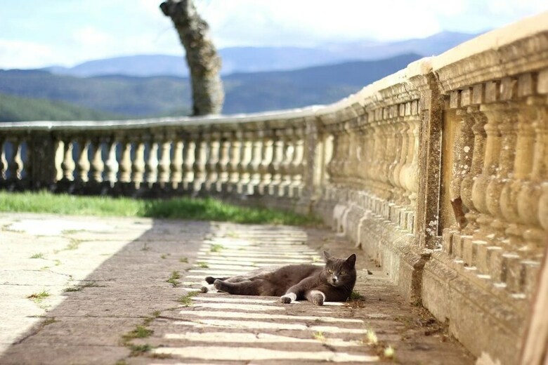 Bed & Breakfast La Villa Du Collet