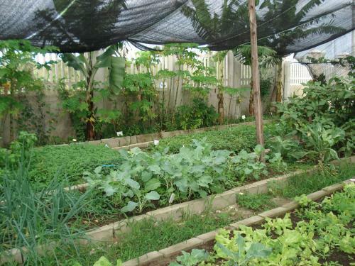 Hotel Villaggio Dos Ventos