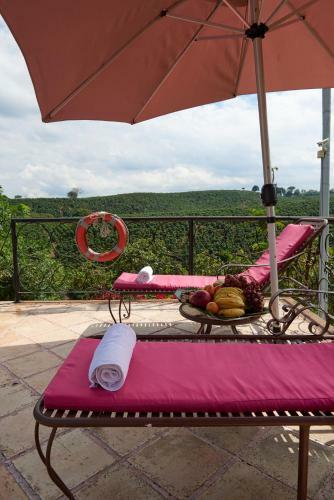 Finca Hotel Los Girasoles