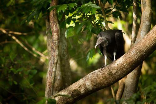Saladero Eco Lodge