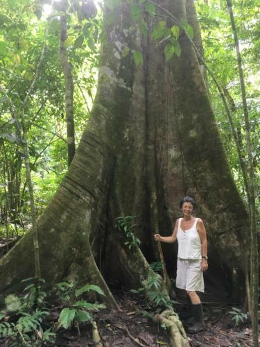 Saladero Eco Lodge