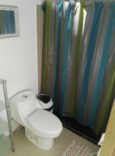 Hostal Jungle House
