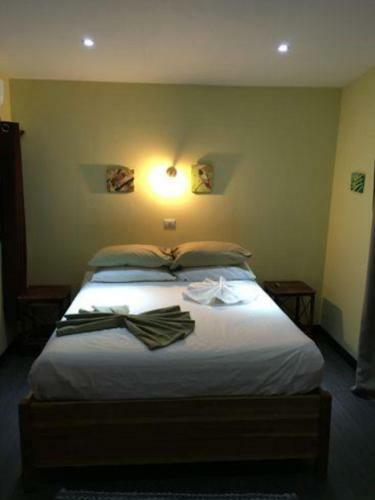 Hostal Jungle House