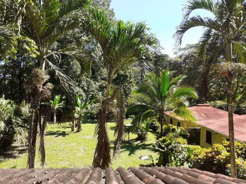 La Perla Del Caribe