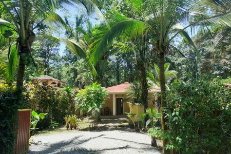 La Perla Del Caribe